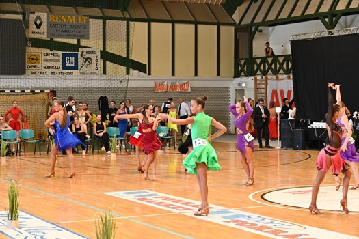 DSC 3809 525