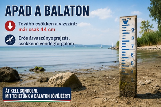 73c8bcb3 4370 4eac 8c07 e6479a1348cb