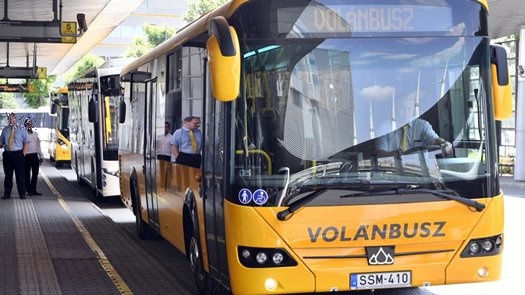 volanbusz d mti