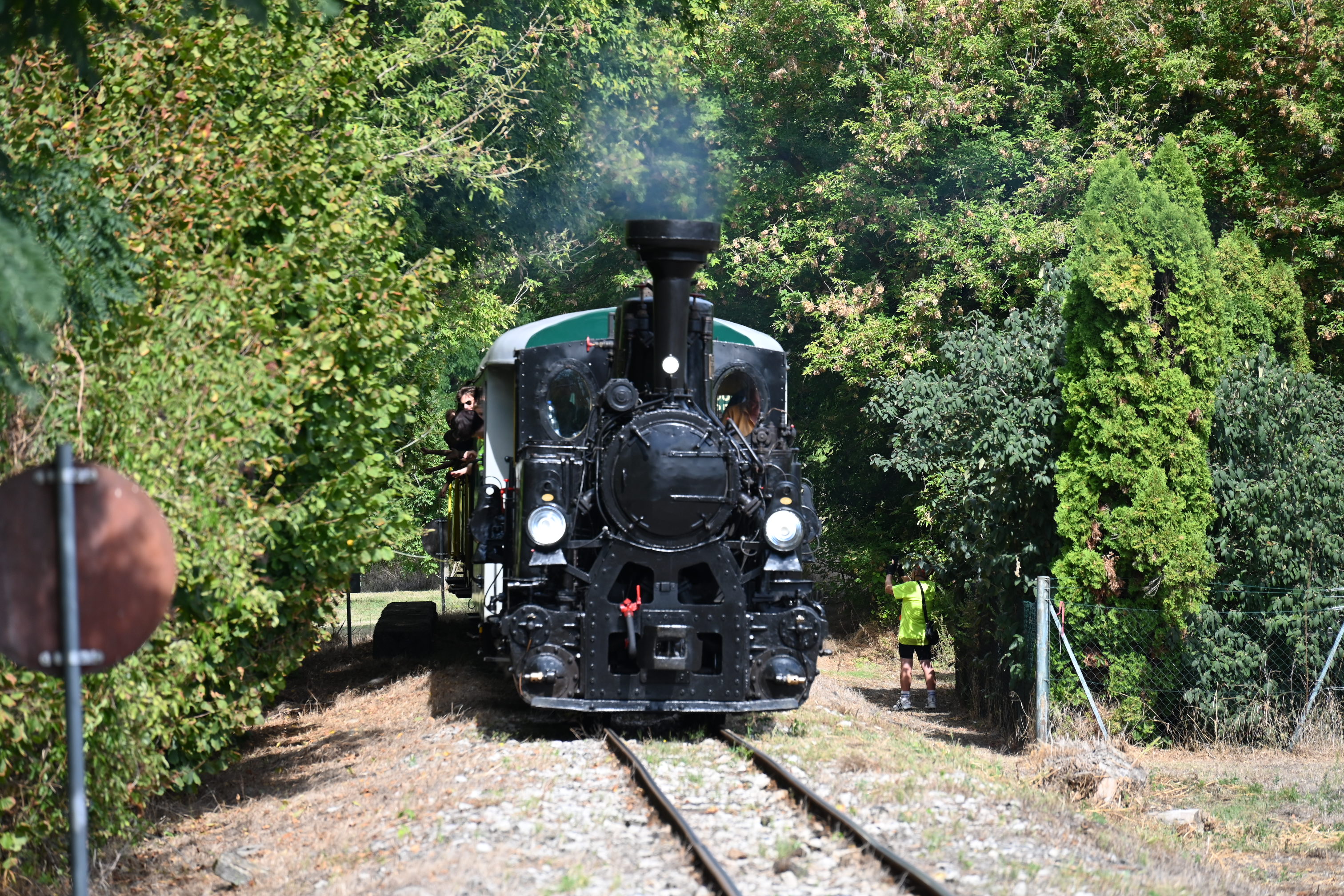 DSC 5281