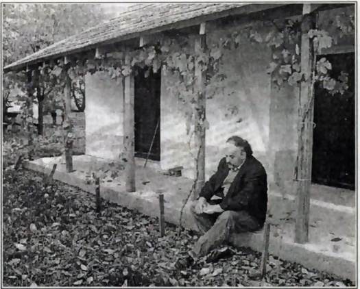 suchman veranda