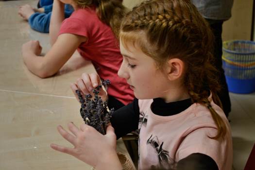  DSC1091