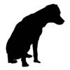dog-163656 640