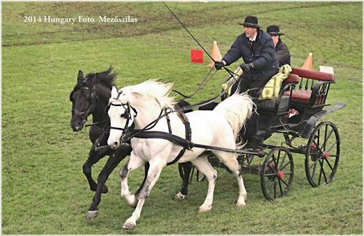 1972523 665540950148635 9202990374181467300 n