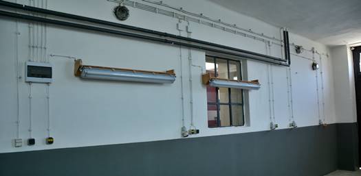 DSC 8118