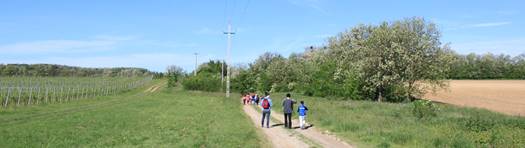 IMG 9824