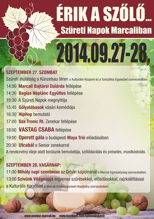 2014szuret a3 web