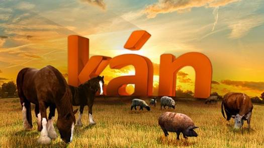 kán 620