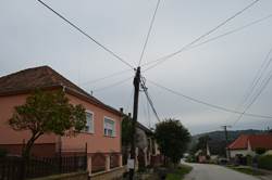 DSC 0066