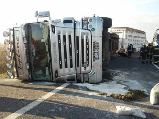 2013-11-12 08.49.56 cim