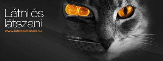 latni es latszani 2013 21