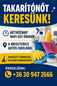 Meiszterics  takaritónő