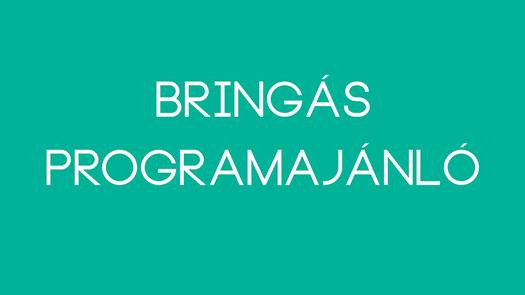 bringas programajanlo