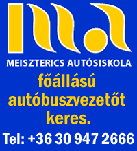 Meiszterics  takaritónő