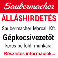 saubermacher-allas-gepkocsivezeto