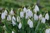 DSC_7366_800x534