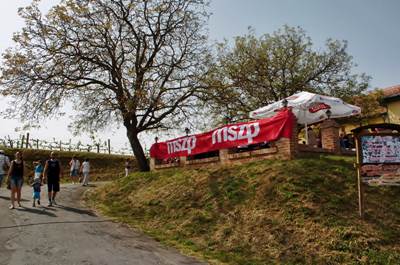VZA_3361