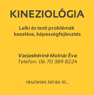 kin01