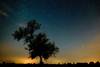 D_KOM20120811004-100