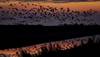 DEBRE20121013015-100
